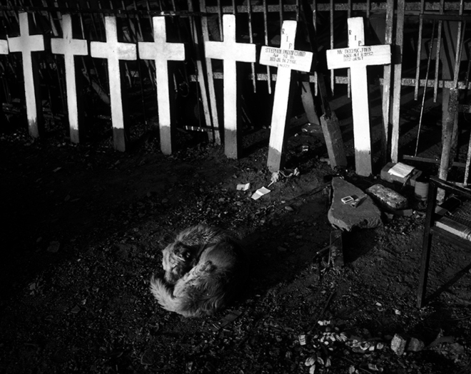 "Christian Graveyard"  New Delhi, India  photo copyright : Russell Shakespeare
